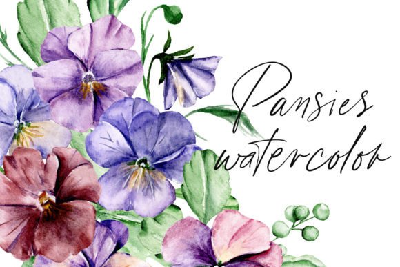 Download Watercolor Flowers Pansies Set. - Watercolor flowers Collection