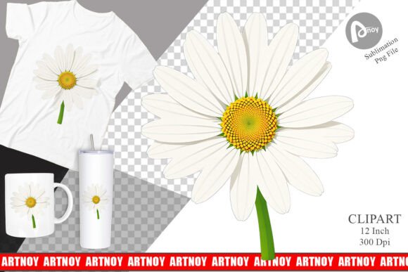 Download Spring Daisy Clipart - Premium Bundle