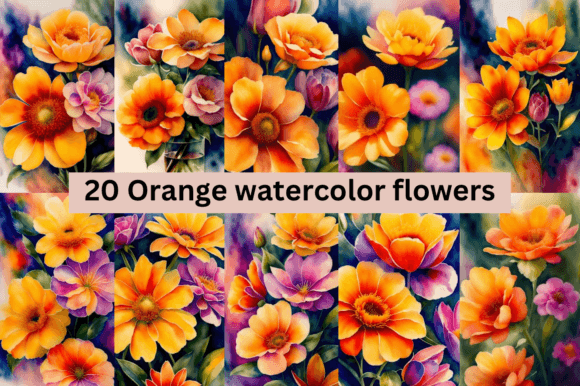 Download #3 Orange Watercolor Flowers Bundle - Watercolor flowers Collection