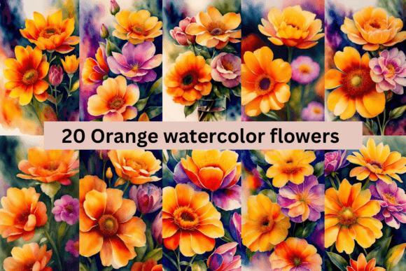 Download #2 Orange Watercolor Flowers Bundle - Watercolor flowers Collection