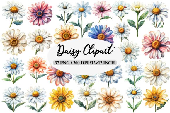 Download Watercolor Daisy Clipart Bundle - Premium Resources